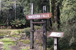 Hier sieht man ein Holzschild in der Natur, auf dem "Montezuma Falls" steht.