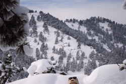 Willi im Schnee in einem Ski Anzug