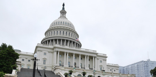 Blick auf das Capitol in Washington D.C.