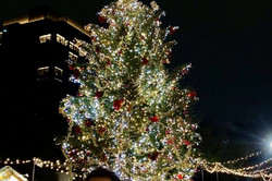 Weihnachtsbaum in Nagoya Ein hell beleuchteter Weihnachtsbaum inmitten einer Menschenmenge in der abendlichen Dunkelheit.