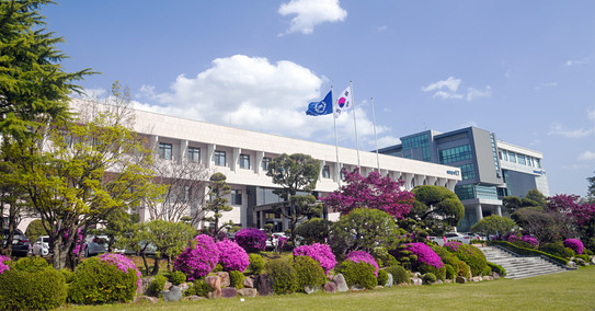 Sicht auf ein großes weißes Gebäude auf dem Campus der Chungnam National University, mit viel grün, Bäumen und lila Blumen