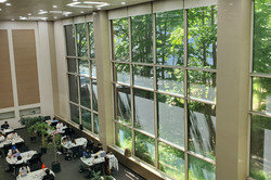 Hier sieht man zahlreiche Tische, an denen Studierende lernen. Direkt daneben ist eine große und hohe Fensterfront, aus der man auf grüne Bäume blickt. 