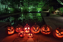 Pumpkin Crave Hier sieht man Kürbisse im Dunkeln, die erleuchtet sind.