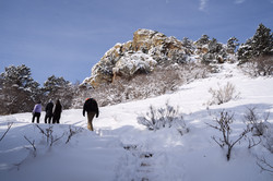 4 Personen wandern auf einem schneebedeckten Berg