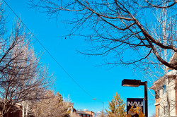 Straße auf dem Campus mit NAU Schild und blauem Himmel