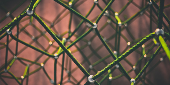 Close-up of a net