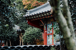 Ein kleiner Tempel mit roten Wänden, der zwischen Bumen und Ästen hindurch scheint. 