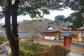 Wann immer ich Zeit habe und einen Ausgleich zum Schreibtisch brauche, gehe ich die Nachbarschaft erkunden. Dieser Tempel liegt am Rande des Bukhansan Mountains (siehe erster Bericht). Es ist faszinierend die verschiedensten Seiten Koreas kennenzulernen.