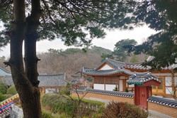 Wann immer ich Zeit habe und einen Ausgleich zum Schreibtisch brauche, gehe ich die Nachbarschaft erkunden. Dieser Tempel liegt am Rande des Bukhansan Mountains (siehe erster Bericht). Es ist faszinierend die verschiedensten Seiten Koreas kennenzulernen.