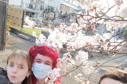 Mehrere Personen vor einem Kirschblütenbaum