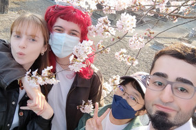 Mehrere Personen vor einem Kirschblütenbaum