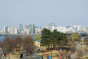 Seoul überrascht immer wieder mit grünen Ecken und vielen Parks. Hier am Han River kann man den ganzen Tag auf einer Picknickdecke verbringen oder sich ein Fahrrad leihen.