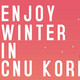 Banner WILL CNU