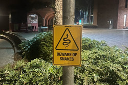 Flora und Fauna auf dem Campus Das Bild zeigt ein Schild mit der Aufschrift "Achtung Schlangen" sowie die umliegende Umgebung.