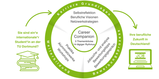Career Companion Ablauf, der die dreu Phasen des Career Companion Planung, Jobsuche und Interview und Zusatzqualifikationen zeigt und auf die 14-tägige Frequenz des Companions verweist.