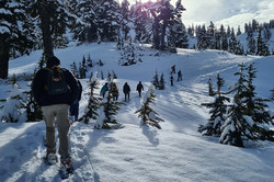 Hier sieht man zwei vorauslaufende Menschen im schneebedecktem Wald. 