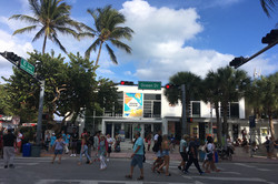 Straßenüberquerung in Florida mit Palmen und blauem Himmel