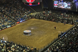 Eine Arena, voll mit Menschen - Auf dem sandigen Boden in der Mitte stehen Cowboys .