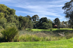 Royal Park Hier sieht man eine grüne Wiese und Bäume.