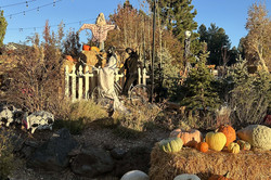 Pumkin Patch Blick auf einige Strohballen, auf denen Kürbisse und Totenköpfe drapiert sind. Umgeben von einigen Büschen und Bäumen.