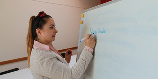 Internationale Expertin Expertin an Whiteboard