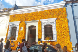 Blume Zusehen ist ein Haus das mit Blumen dekoriert wurde