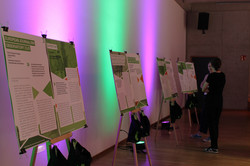 Posters of the Global Gallery projects