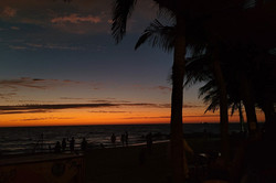 Hier sieht man Palmen beim Sonnenuntergang.