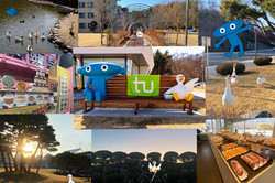 KAIST CAMPUS Hier sieht man eine Collage aus verschiedenen Bildern, die alle den Campus der KAIST University zeigen.