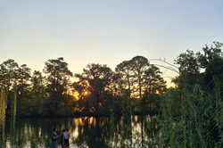 Hier sieht man einen Teich im Park, während die Sonne untergeht.
