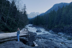 Natur pur