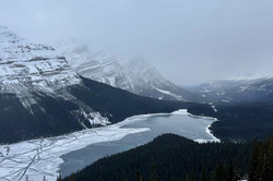 Aussicht auf ein verschneites Tal zwischen schneebedeckten Bergen. Im Tal liegt der Peyto-Lake. Der Himmel ist mit grauen Wolken behangen. 