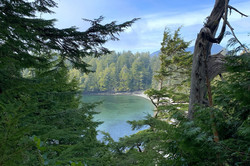 Vancouver Island