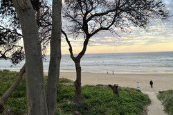 Es zeigt einen kleinen bergablaufenden Weg zum Strand, auf der linken Seite ist eine Grünfläche und ein großer Baum. Im Hintergrund ist der blaue, wolkige Himmel