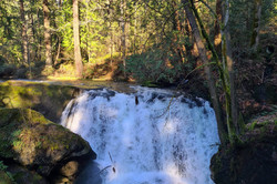 Hier sieht man einen Wasserfall mitten im Wald.