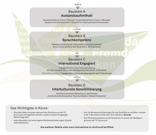 Modularer Aufbau des Zertifikats "Studium International"