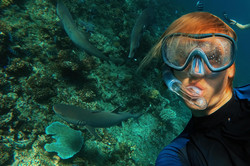 Selfie Es zeigt Will beim schnorcheln, im Hintergrund befindet sich ein großes Korallenriff, wo drei kleine Haie schwimmen.