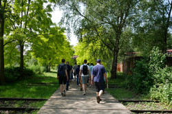 Menschen von hinten laufen über einen Weg mit Bäumen an den Seiten.