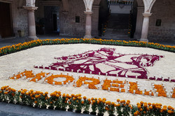 Mit Blumen nachgebildetes Logo von Morelia