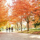 Der Campus im Herbst