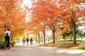Der Campus im Herbst