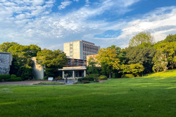 Grüner Campus Hier sieht man eine große Wiese mit Bäumen und der Universität im Hintergrund vor blauem Himmel.