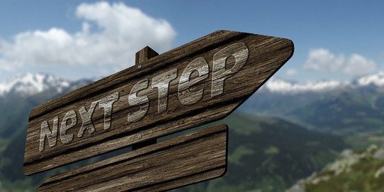 Wooden Sign with Words "Next Steps"