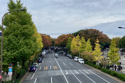 Eine Straße, die rechts und links von herbstlich-leuchtenden Bäumen gesäumt ist. Rechts ist ein Platz zu sehen, auf dem sich viele Menschen aufhalten. 
