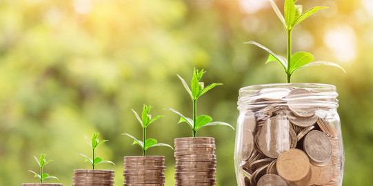 Money with plants Coins out which plants grow