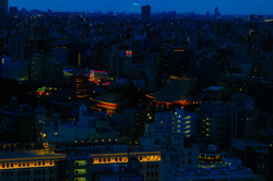 Hier sieht man Tokyo bei Nacht.