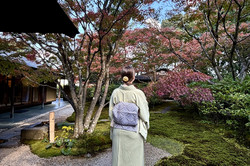 Die Studentin von hinten, wie sie einen Kimono trägt und in die Kirschblütebbäume blickt, welche rötlich leuchten. 