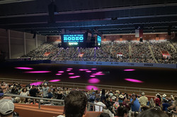 Rodeo Auf dem Bild sieht man Rodeo auf der Taxas State Fair
