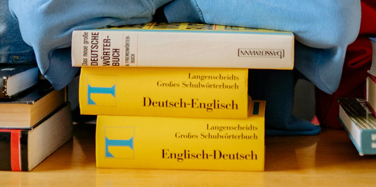Junge Frau stützt ihren Kopf auf Stapel Langenscheidt-Wörterbücher, schaut in die Kamera, Regale voller Bücher im Hintergrund.