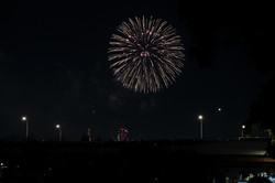 Hier sieht man ein Feuerwerk vor schwarzem Himmel. 